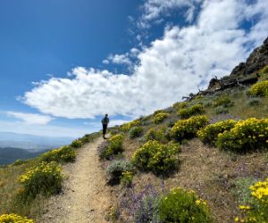 .Victorian Paediatric Rural Training